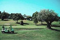 Vista Aérea Ciudalcampo