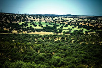 Entorno del Parque