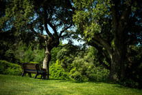 Entorno Urbanización Ciudalcampo