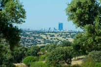 Madrid desde Ciudalcampo