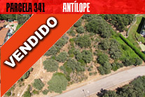 Parcela 341 | Antlope