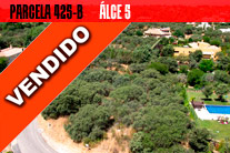 Parcela 425-B | C/Alce 5