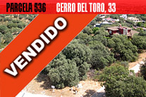 Parcela 536 | C/Cerro del Toro 33