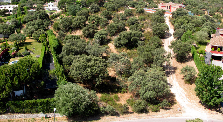 Foto Area 1 Parcela 182 Bilma-Ciudalcampo