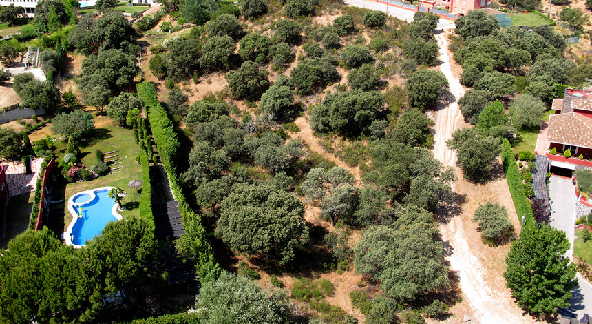 Foto Area 1 Parcela 182 Bilma-Ciudalcampo