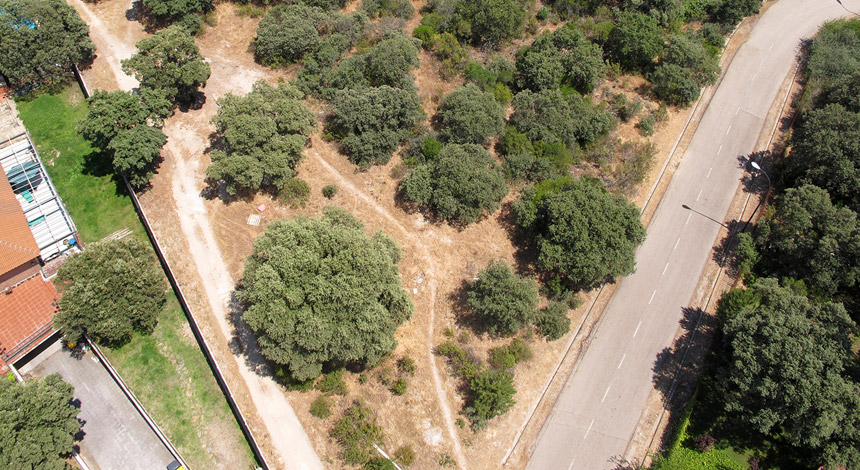 Foto Area 1 Parcela 341-B Bilma-Ciudalcampo