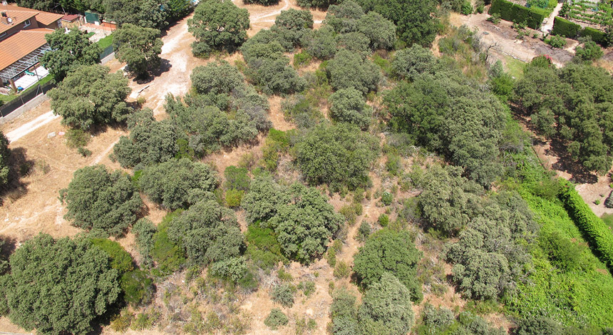 Foto Area 1 Parcela 341-C Bilma-Ciudalcampo