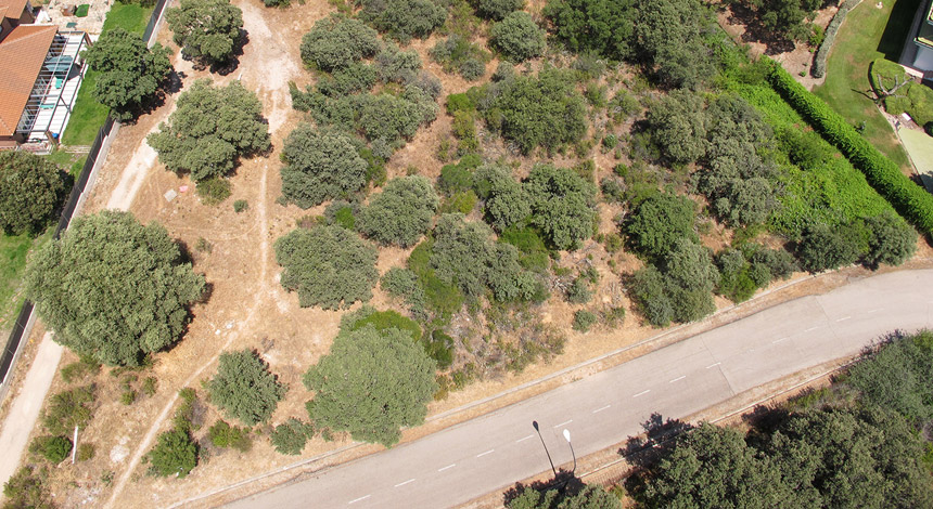 Foto Area 1 Parcela 341-C Bilma-Ciudalcampo