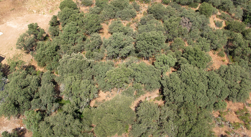 Foto Area 1 Parcela 540-A Bilma-Ciudalcampo