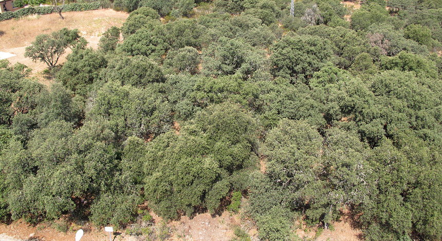 Foto Area 1 Parcela 540-A Bilma-Ciudalcampo